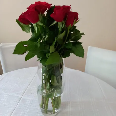 Appartement Rivijera