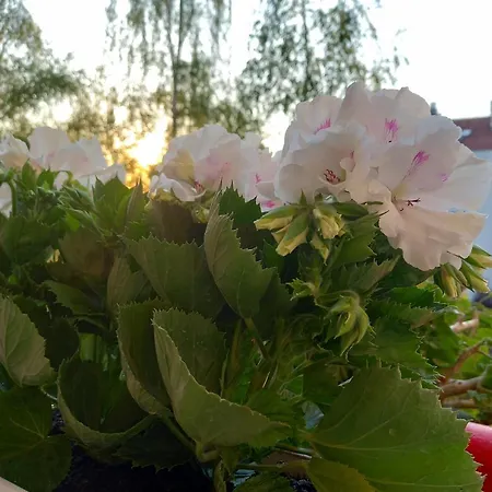 Apartamento Rivijera Belgrado